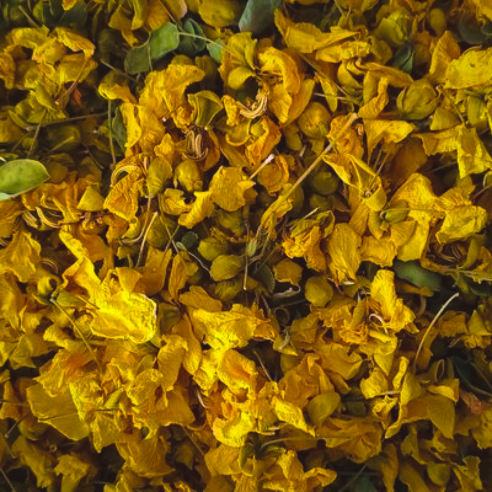 Halal Dried Avarampoo | Cassia Flowers from Sri Lanka | Herbal Tea 100g